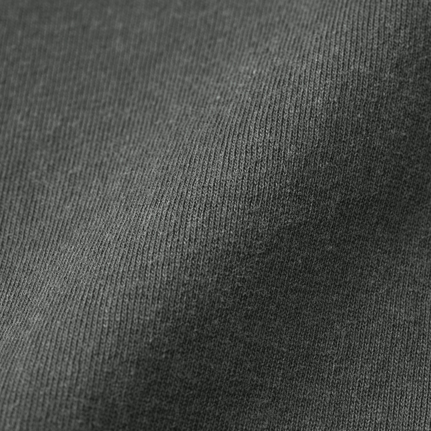 とら2 fade-gray image