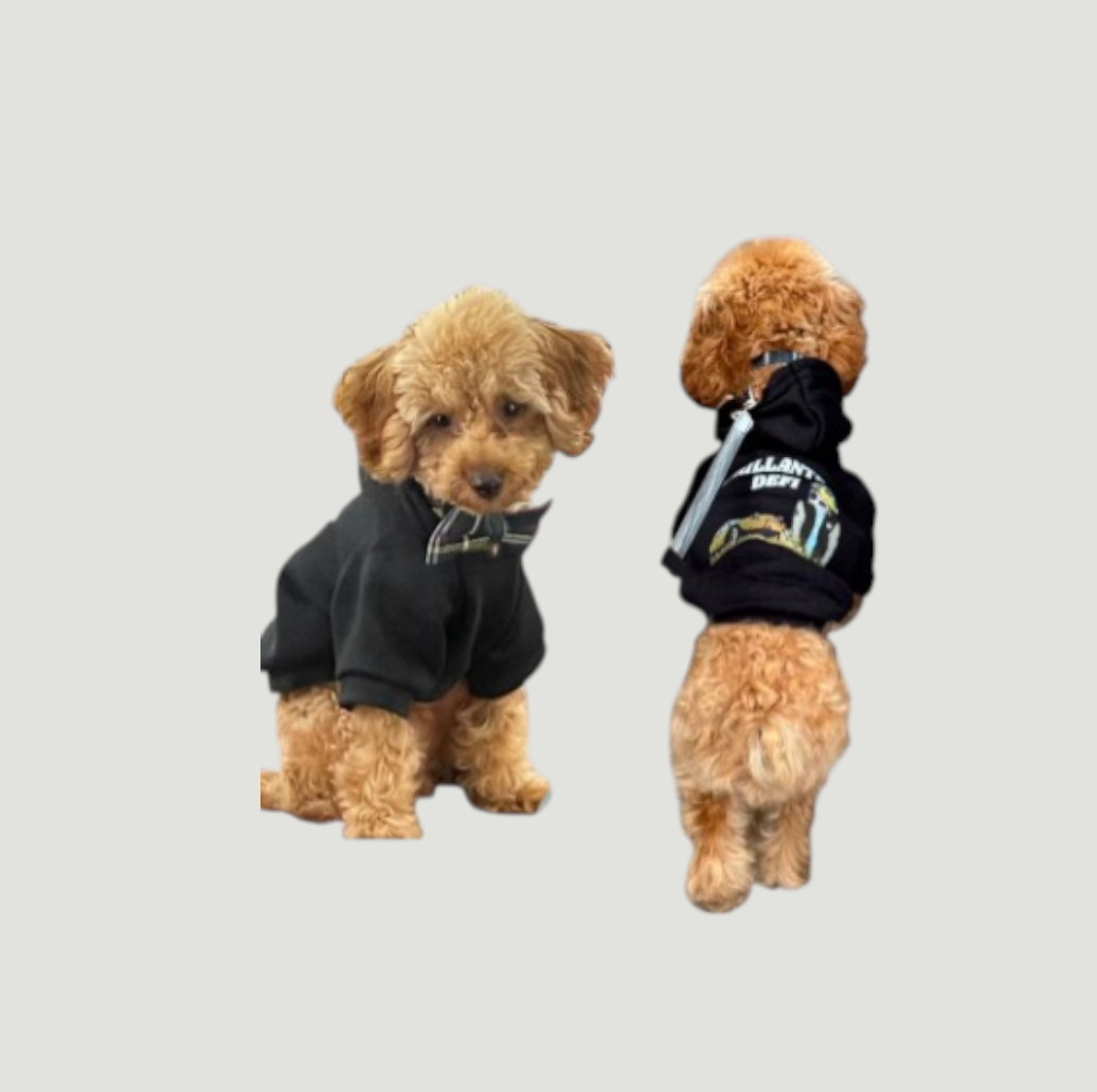 CAR Pet Wear