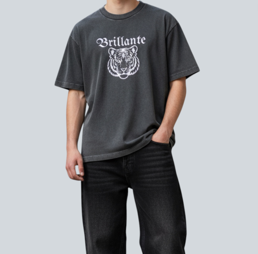 Brillate Tiger Logo T-shirt/USED 加工タイガーロゴTシャツ