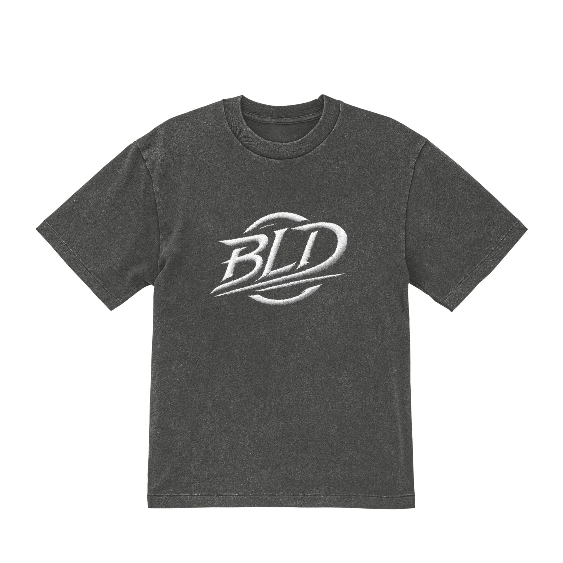 オープンエンド フェードウォッシュ Tシャツ fade-gray image