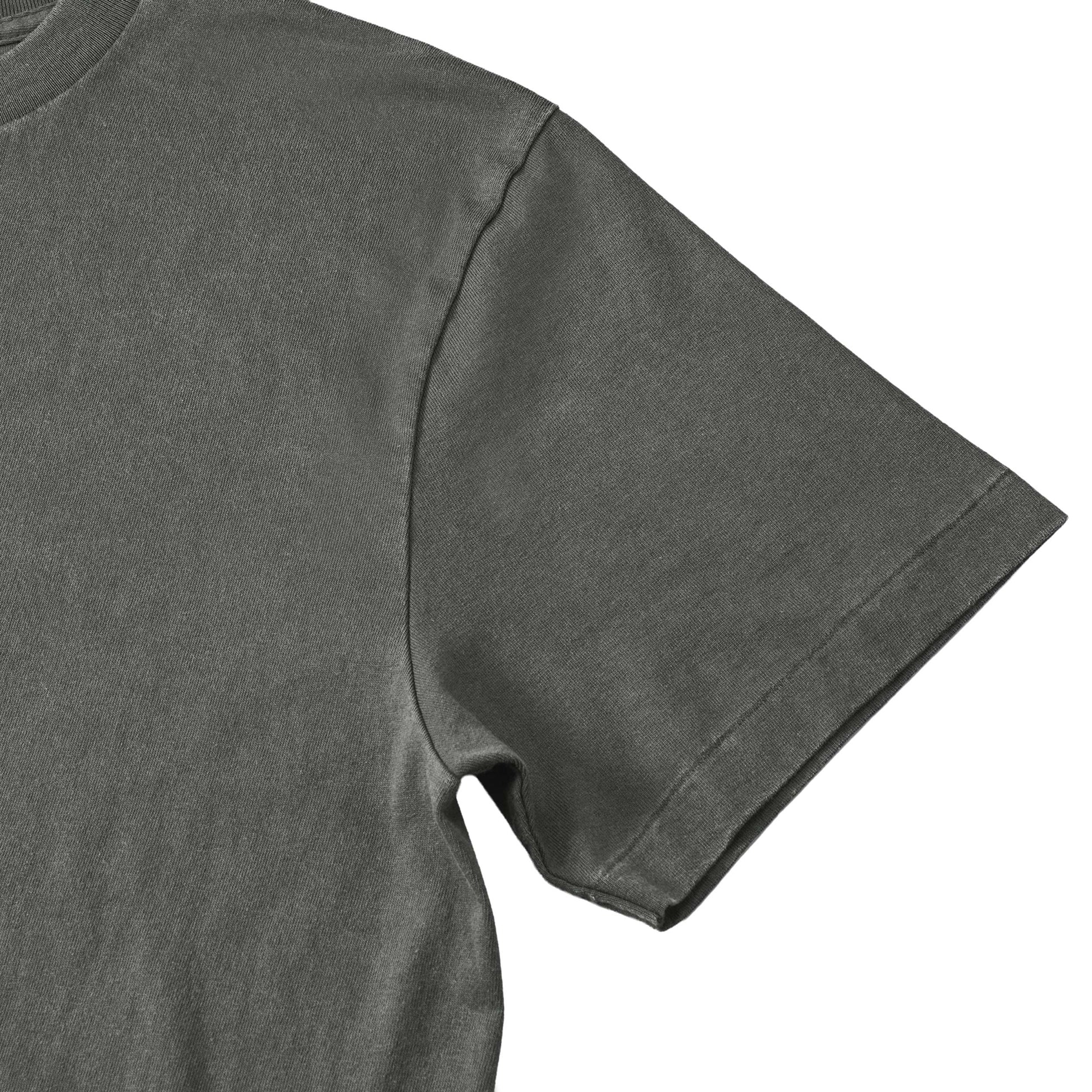 とら２ fade-gray image