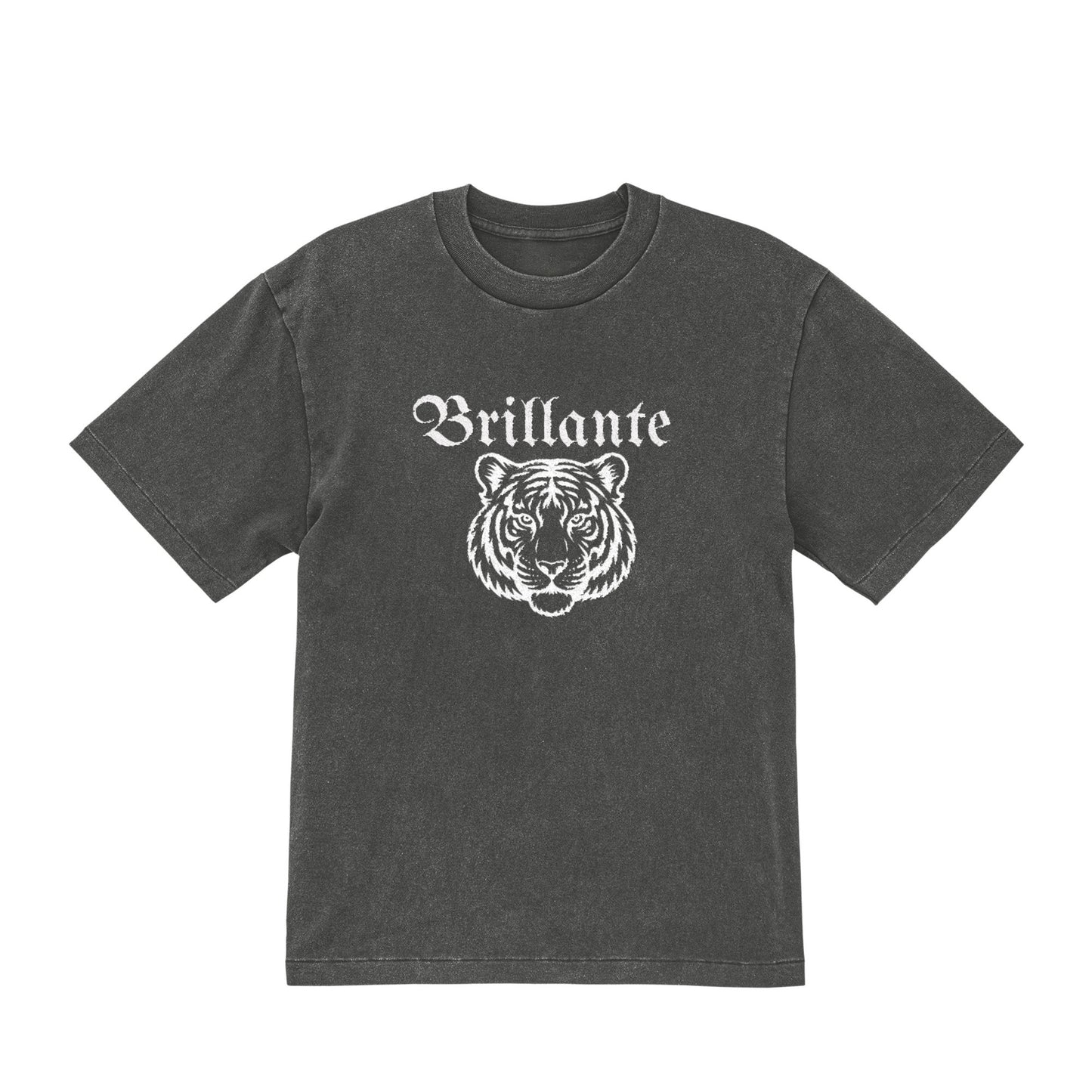 とら２ fade-gray image