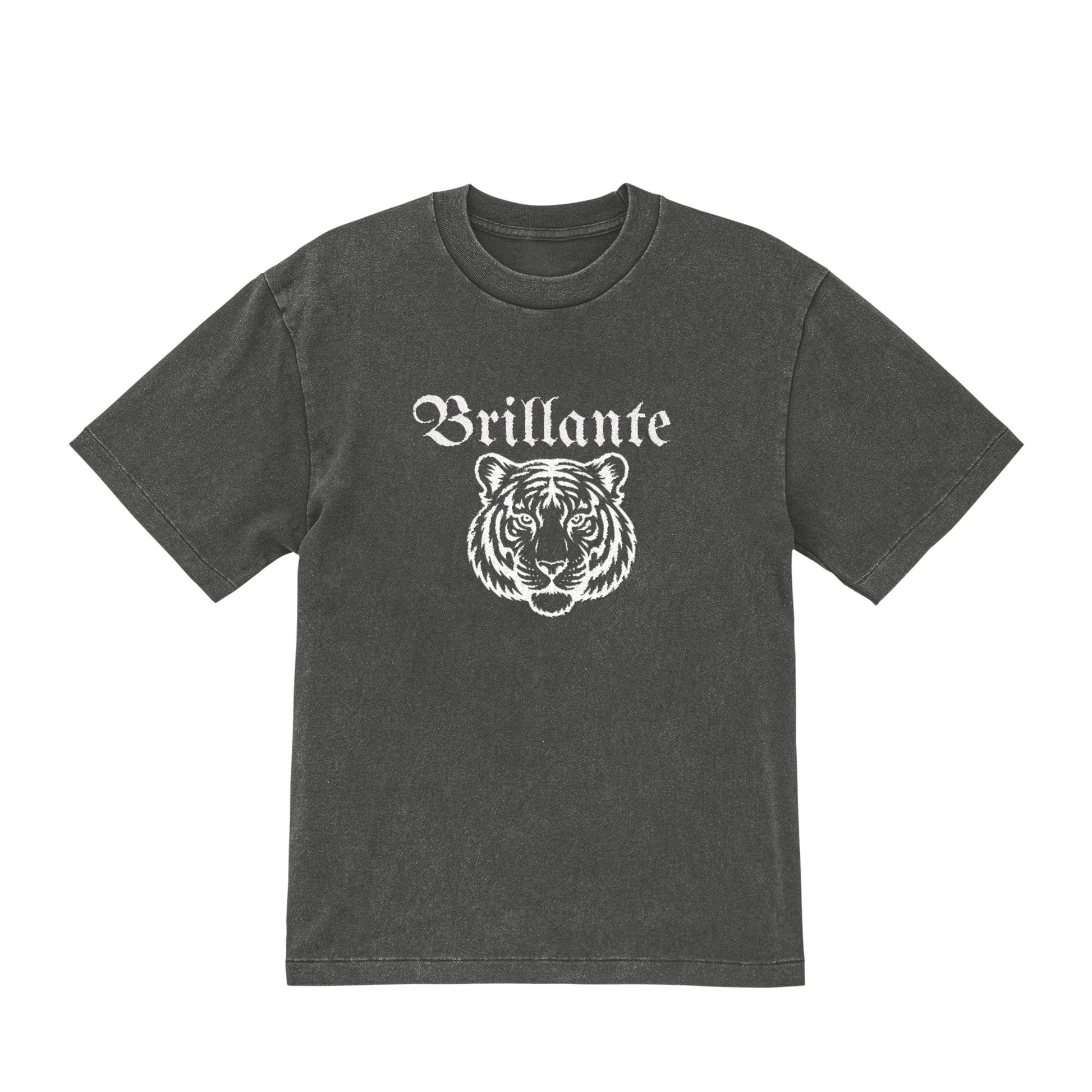 とら２ fade-gray image