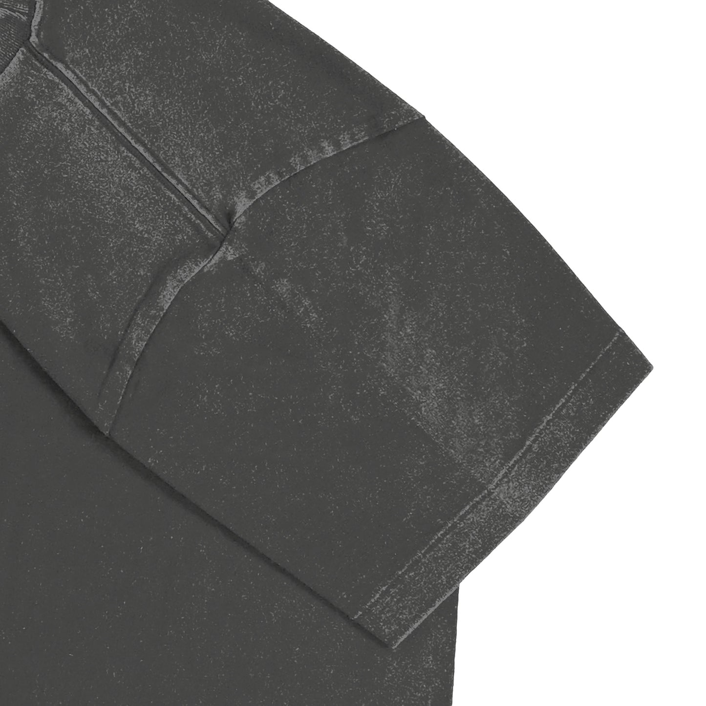 とら２ fade-gray image