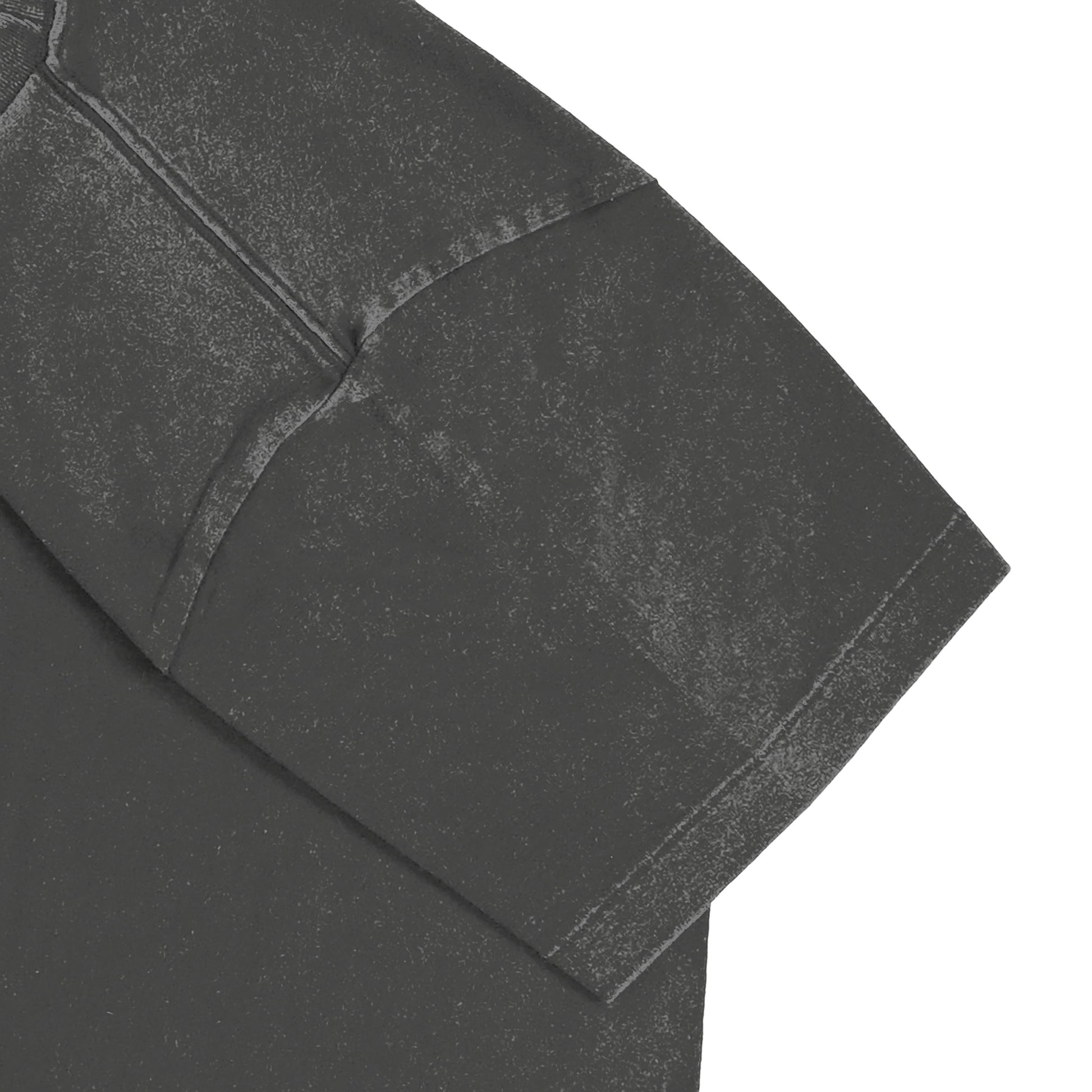 とら２ fade-gray image