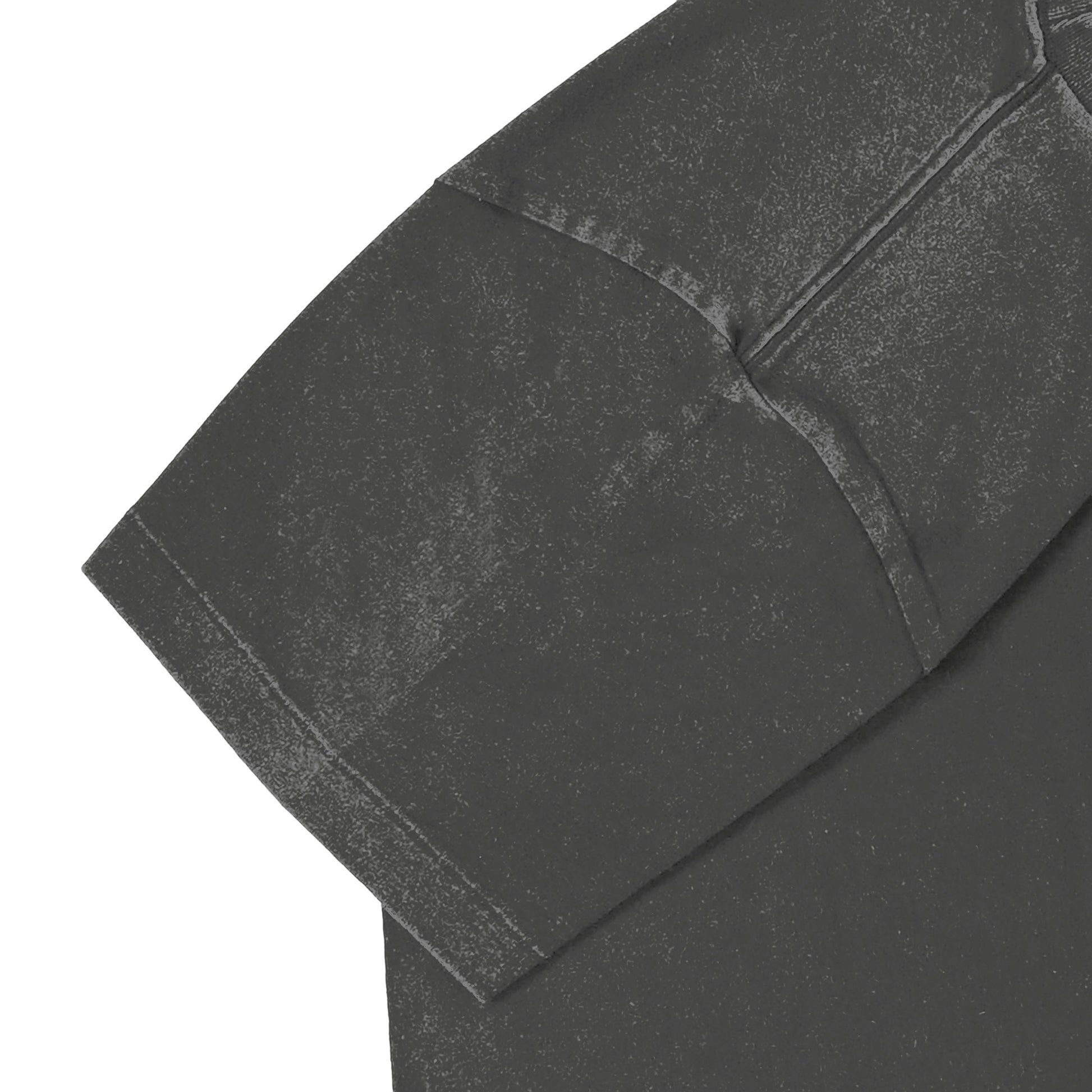 とら２ fade-gray image