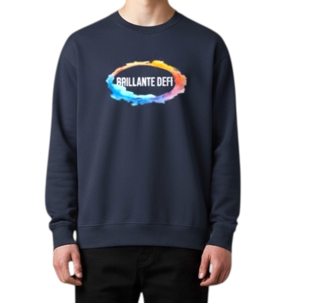 ☆[[SALE]]☆BRILLANTE DEFIレインボー クルーネックトレーナー