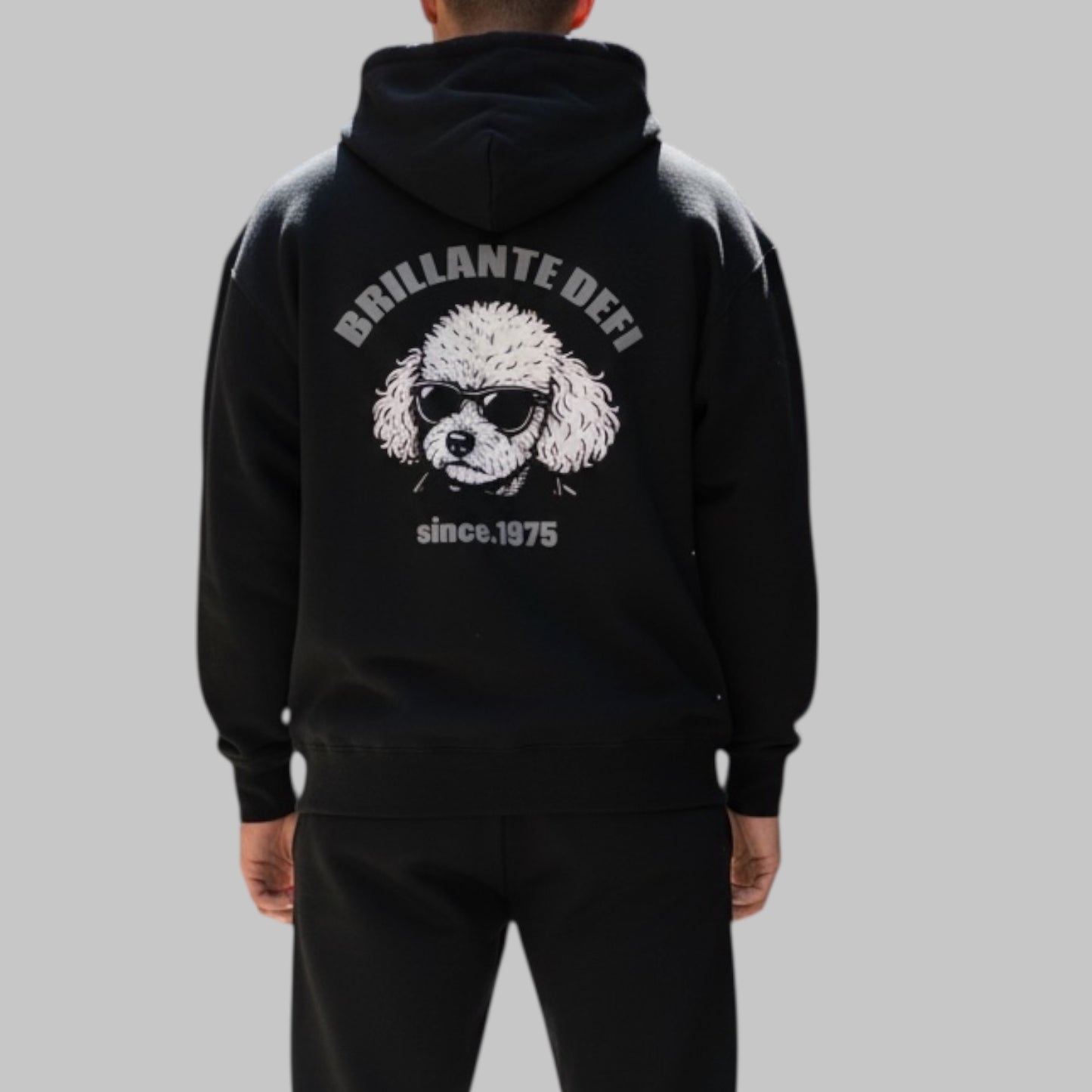 Standard Hoodie Toy Poodle