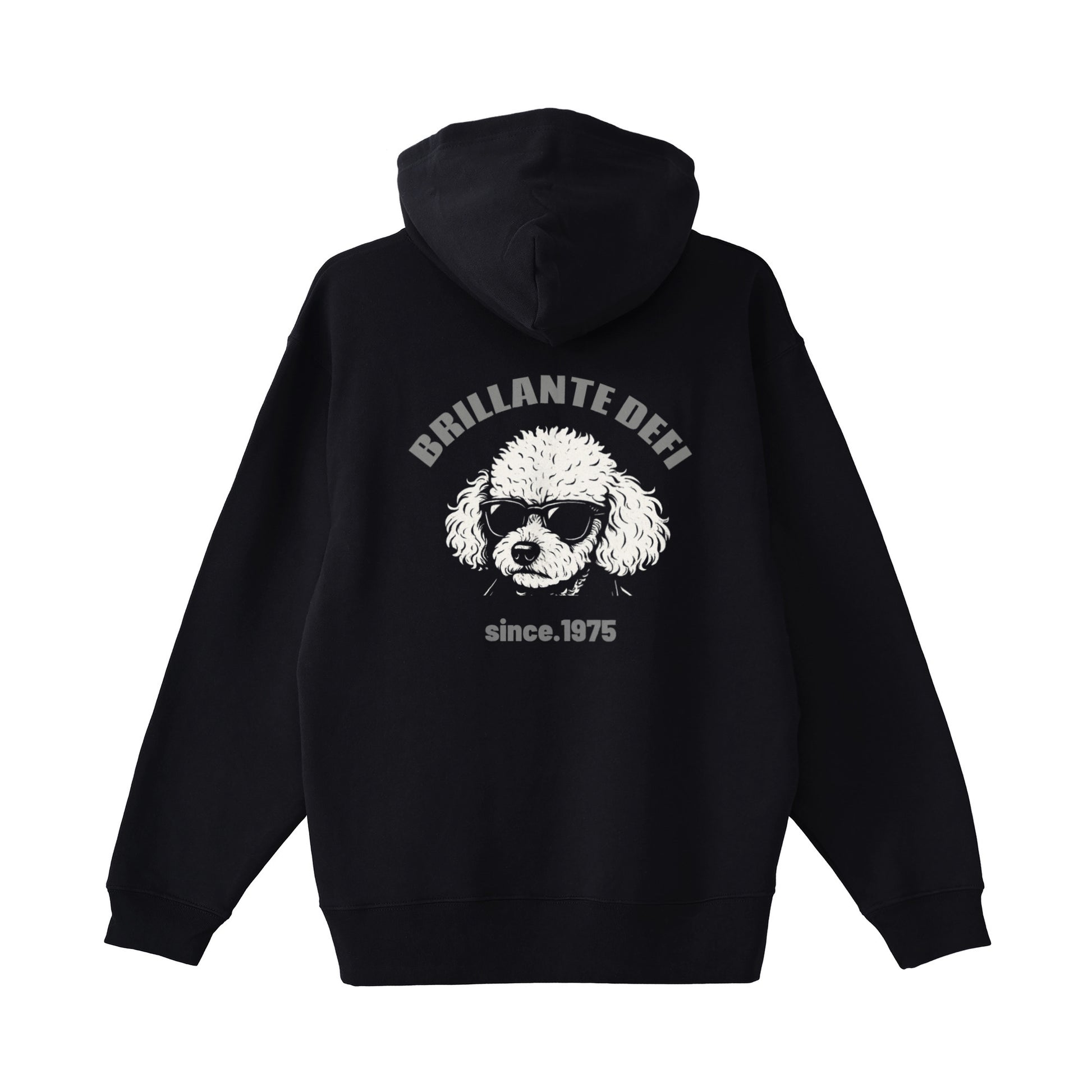 BRILLANTE DEFI ビックトイプーパーカースタンダード パイルパーカー black image